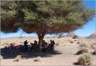 7-Day KTM Moto Biking Desert Tour from Marrakech to Foum Zguid