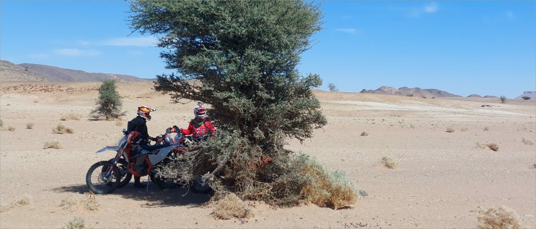 6-Day Tour to Deep Merzouga Desert