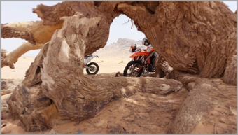 Moto Merzouga - Guided Motorcycle Tours